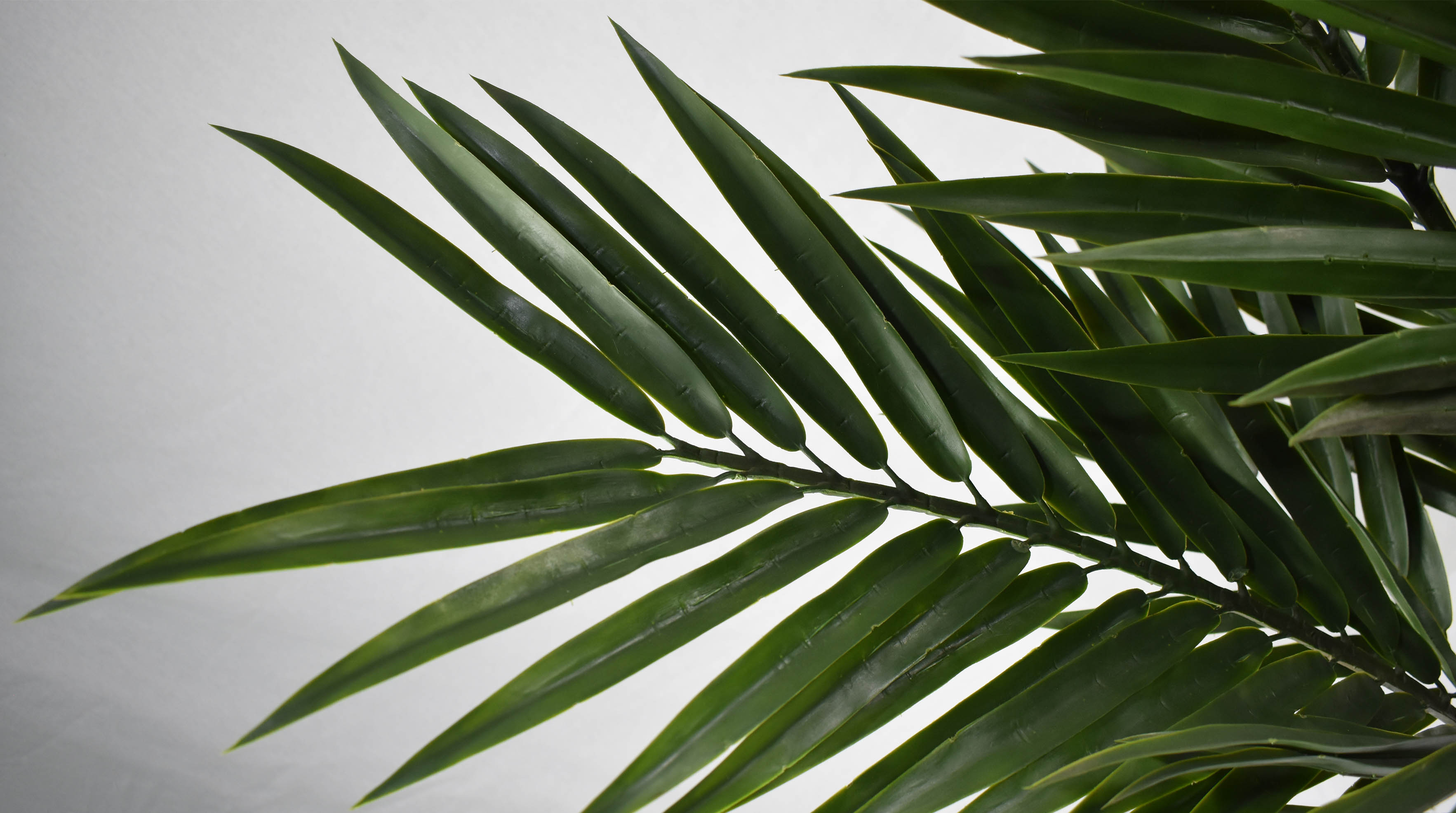 仿真植物墙