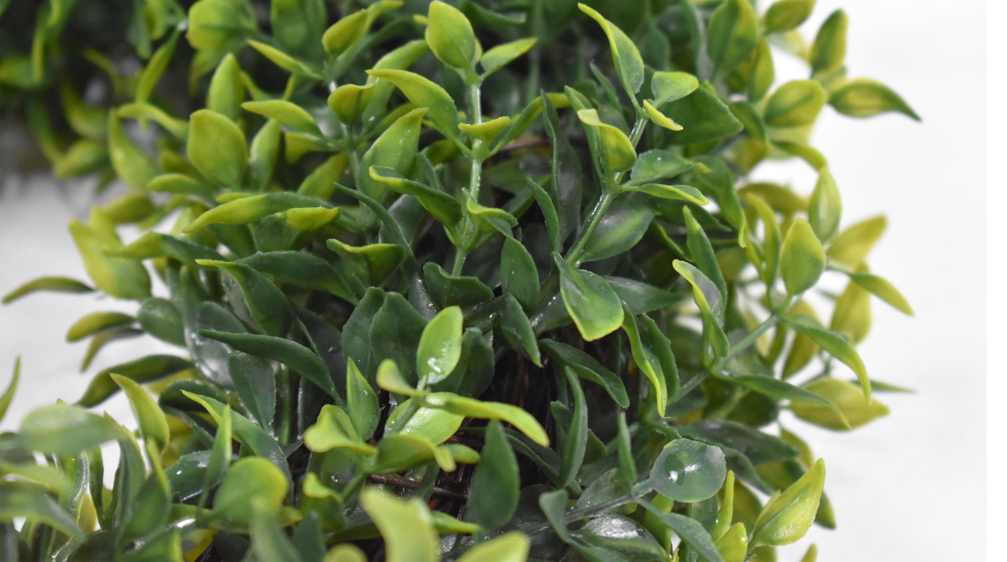 仿真植物厂家