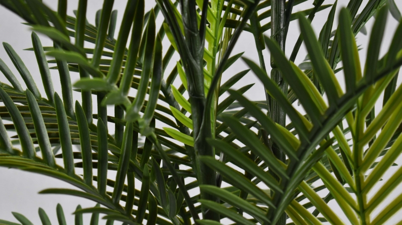 仿真植物厂家仿真植物的四大优点