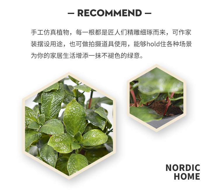 仿真植物盆景