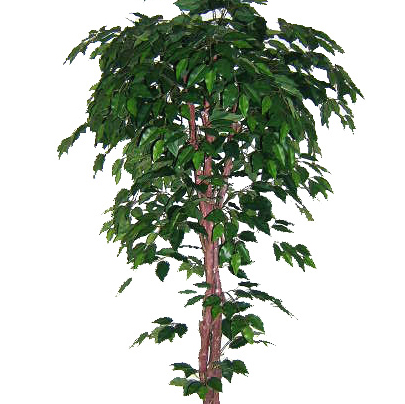 仿真植物墙 仿真植物墙