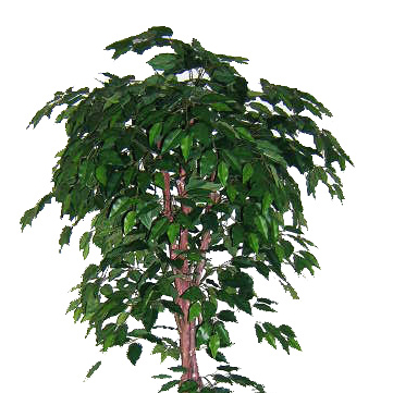 仿真植物墙 仿真植物墙