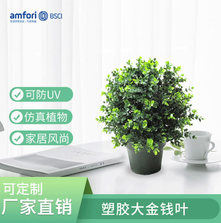 20寸金钱叶塑胶绿植