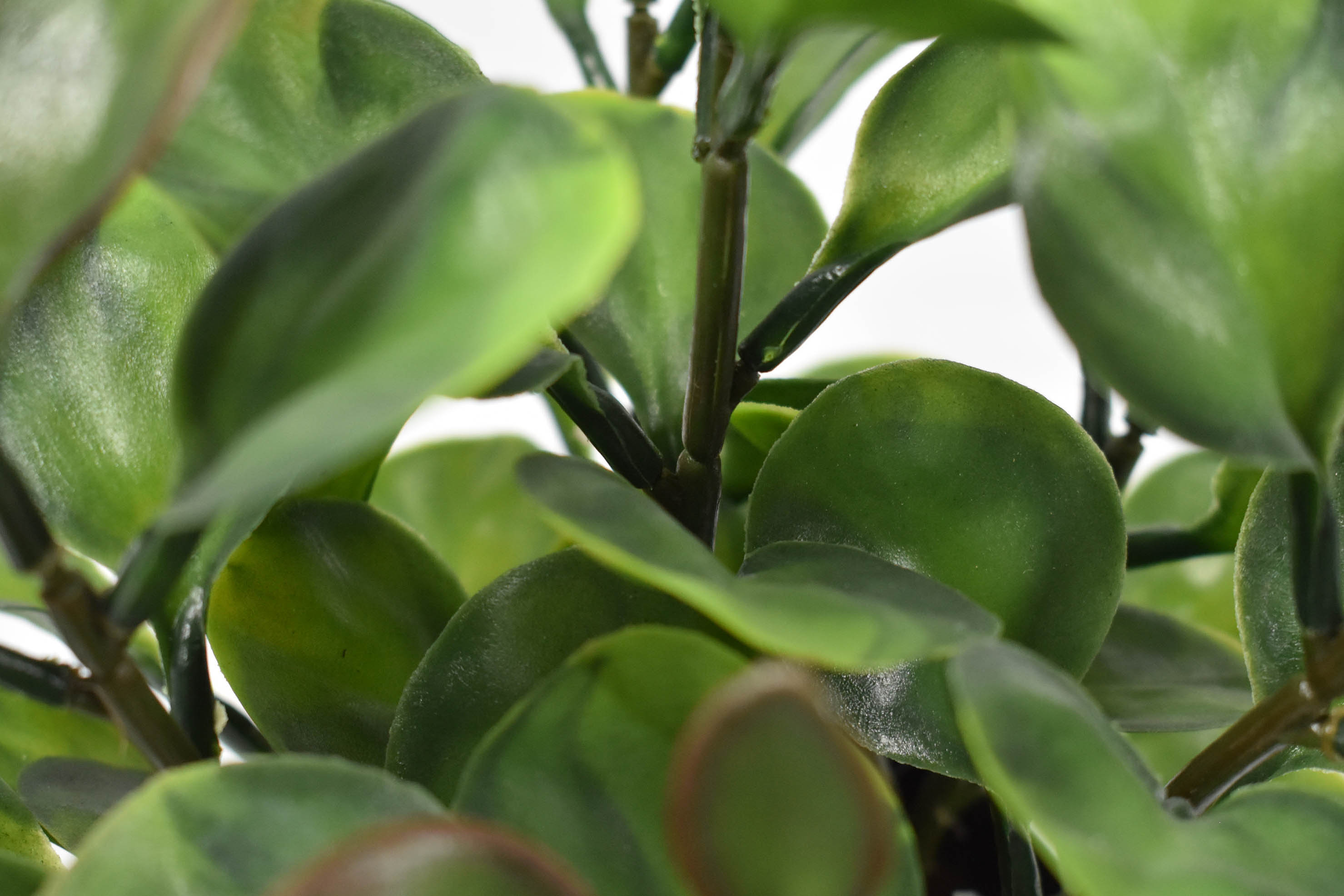 恩平室外仿真植物树厂家