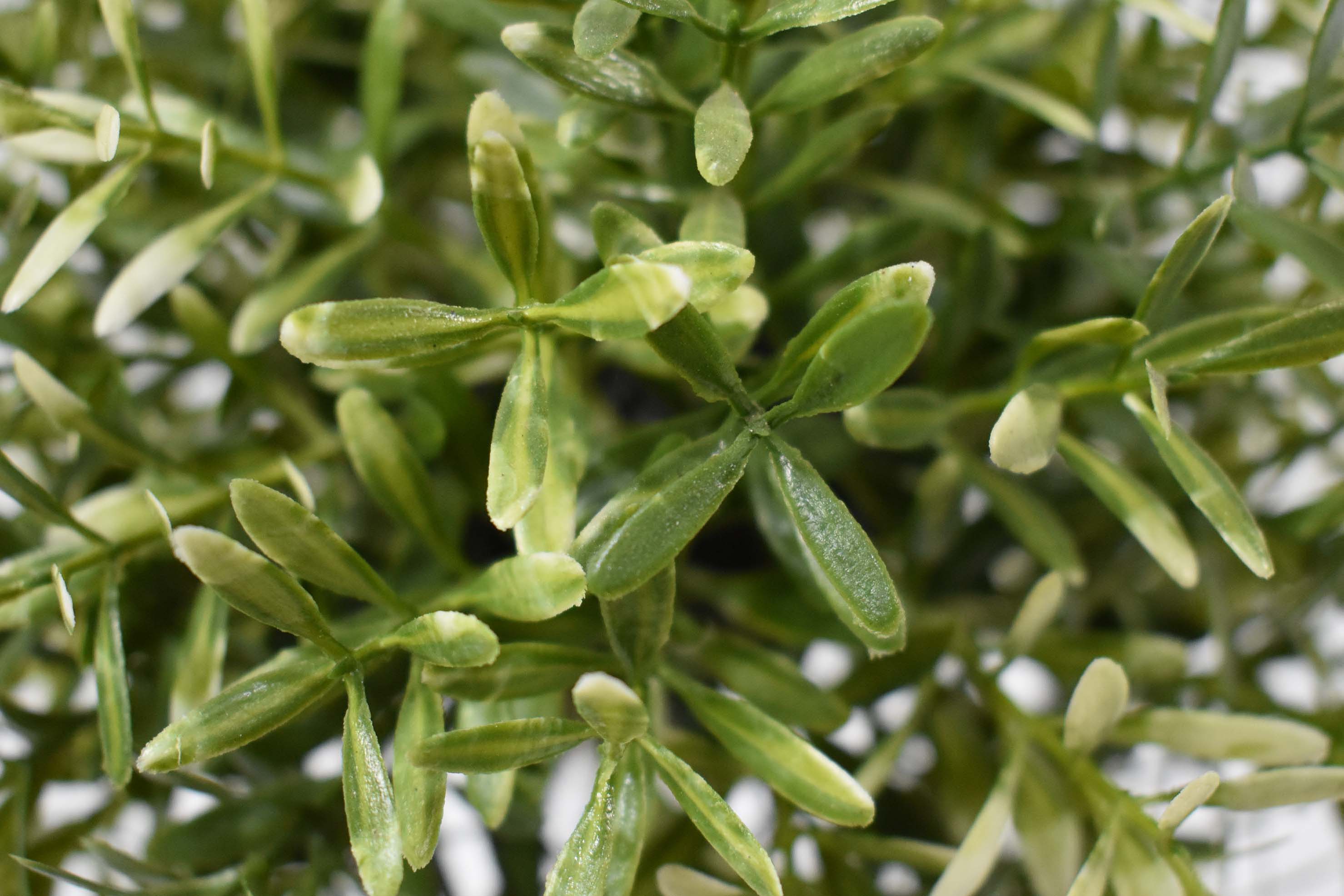 开平防水防火仿真植物厂家